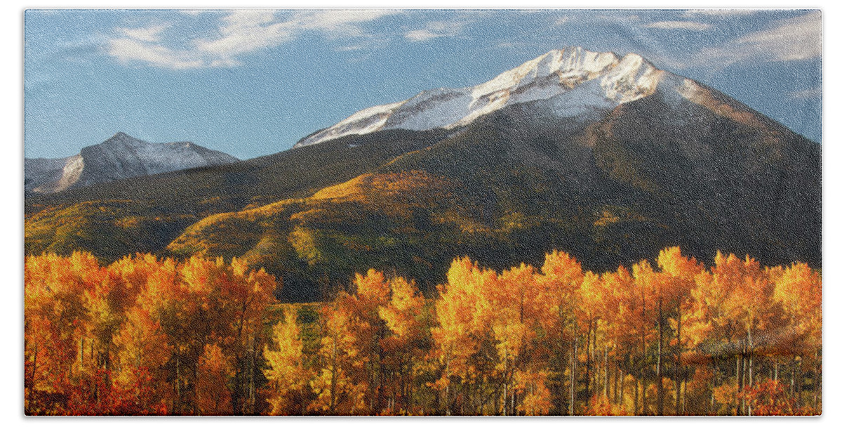 Aspen Hand Towel featuring the photograph Colorado Gold by Darren White