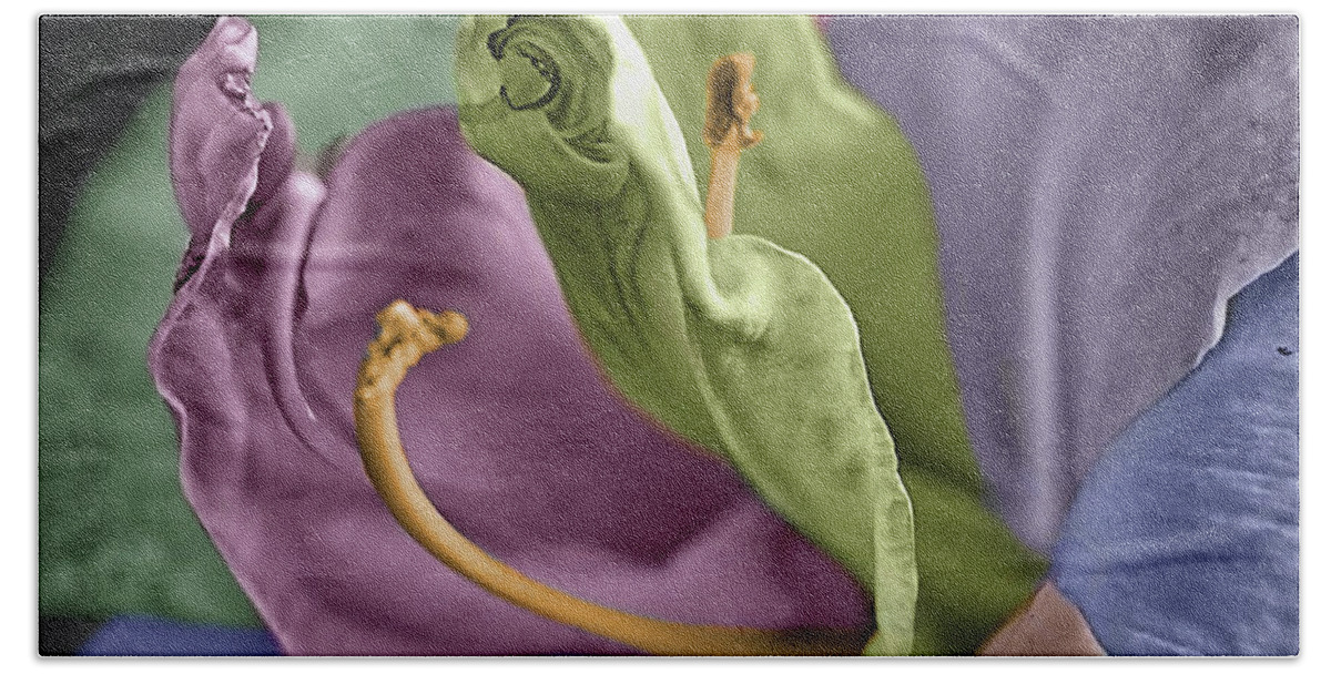 Lily Bath Towel featuring the photograph Colored LIly 3 by M Kathleen Warren