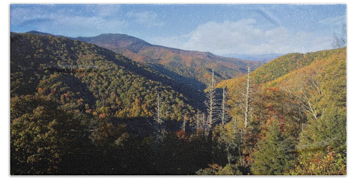 Autumn Bath Towel featuring the photograph Colorful Autumn in the Blue Ridge Mountains by Ronald Lutz