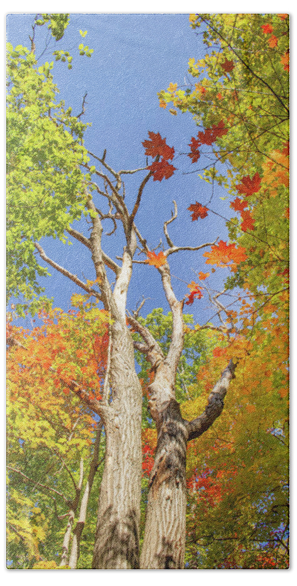 Autumn Hand Towel featuring the photograph Colorful Fall in Upstate NY by Auden Johnson