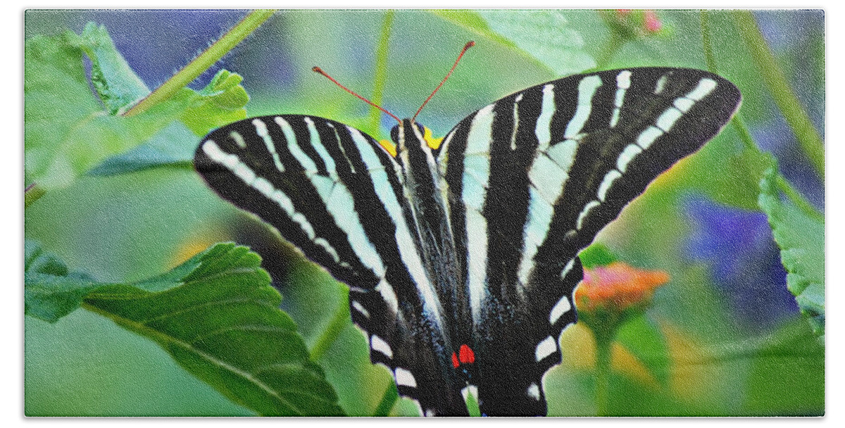 Butterfly Bath Towel featuring the photograph Colorful Zebra Swallowtail on Lantana Square by Marilyn DeBlock