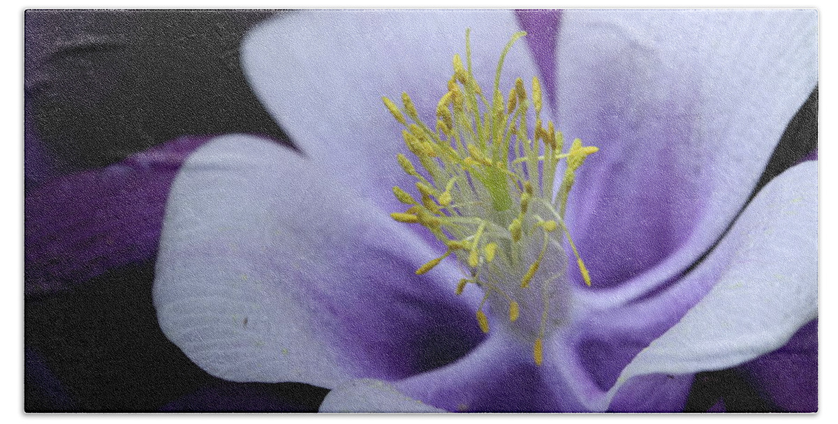 Macro Hand Towel featuring the photograph Columbine 764 by Julie Powell