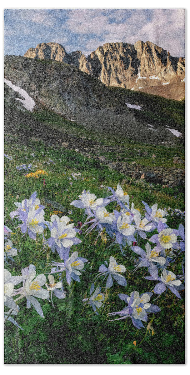 Columbines Hand Towel featuring the photograph Columbines in the Mountains by David Soldano