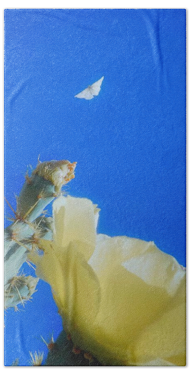 Prickly Pears Hand Towel featuring the photograph Come Back by Judy Kennedy