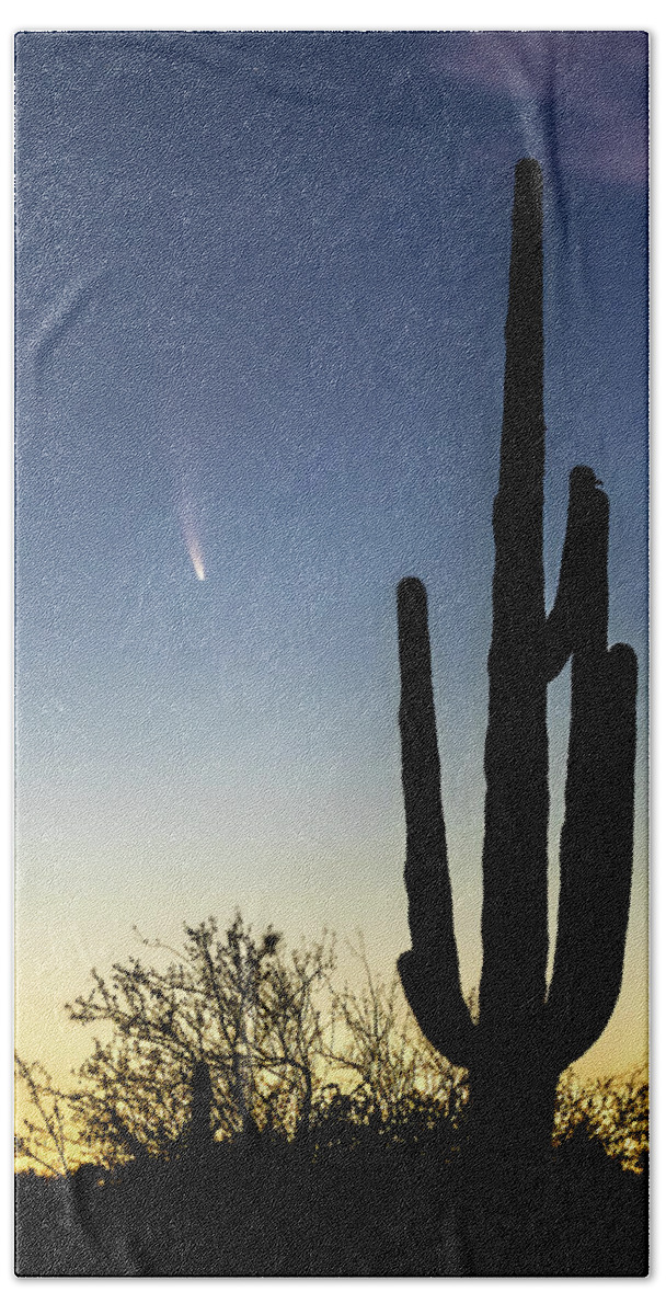 American Southwest Hand Towel featuring the photograph Comet NEOWISE and Saguaro by James Capo