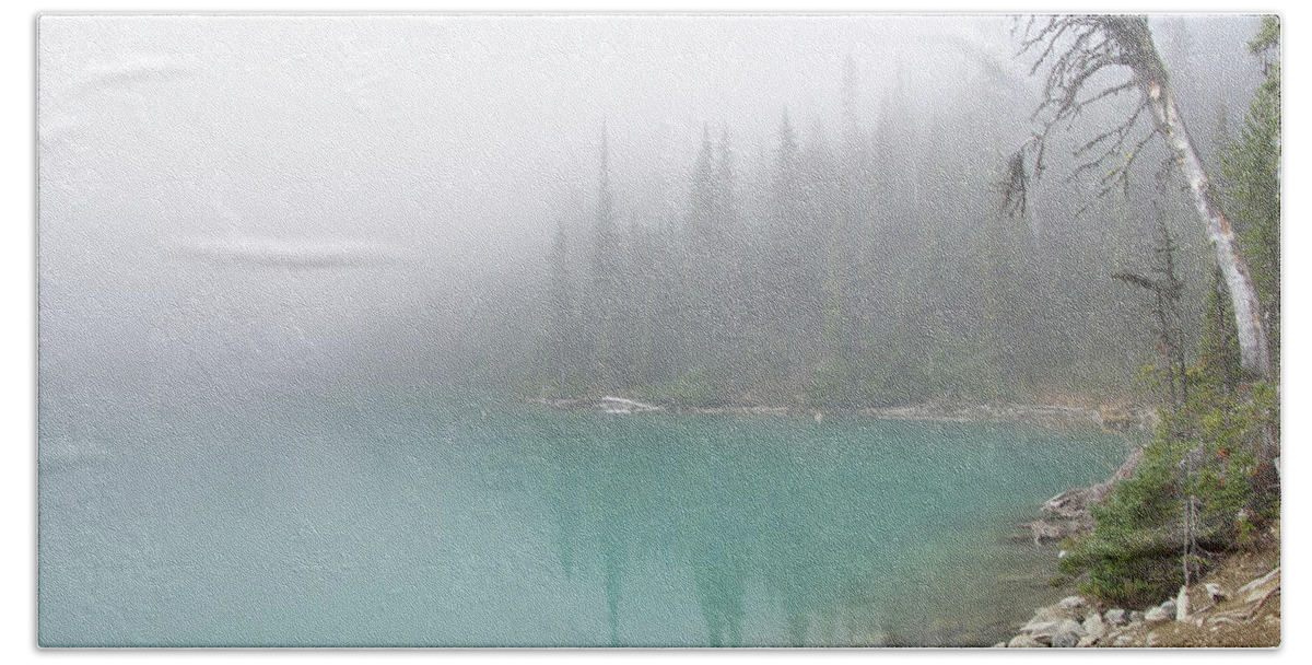 British Columbia Hand Towel featuring the photograph Conifer snag and morning mist by Steve Estvanik