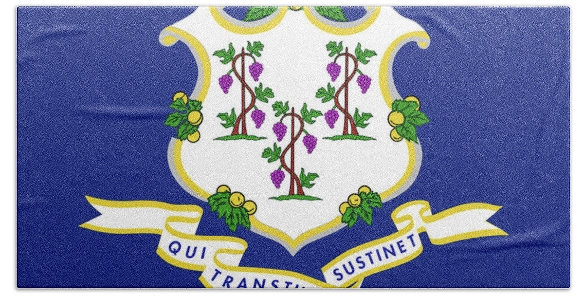 Connecticut State Flag Hand Towel featuring the photograph Connecticut State Flag by Robert Banach