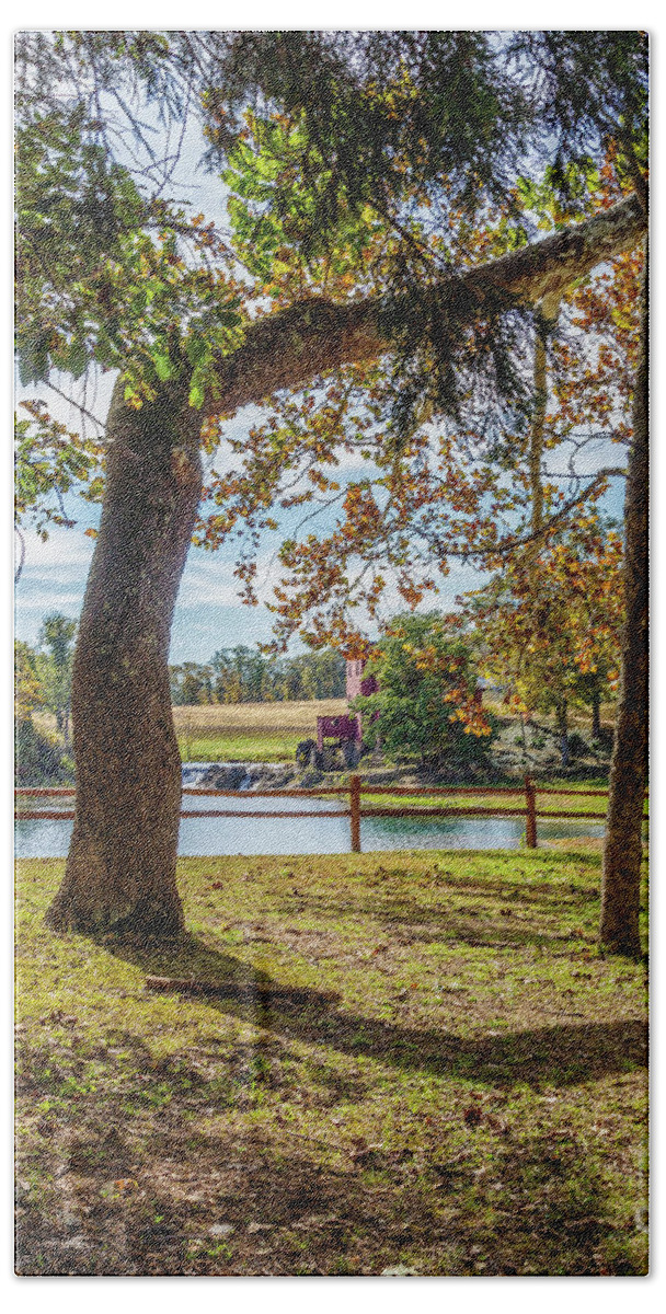Cool Tree Bath Towel featuring the photograph Cool Tree At Dillard Mill by Jennifer White