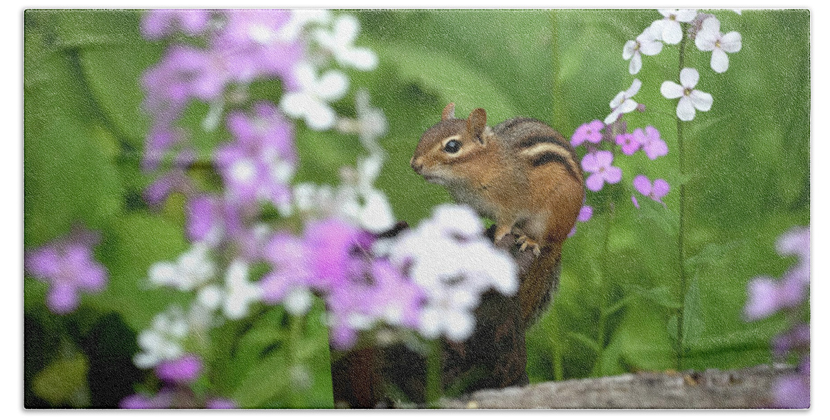 Rhododendron Bath Towel featuring the photograph Cornell Botanic Garden Curious Chipmunk by Mindy Musick King