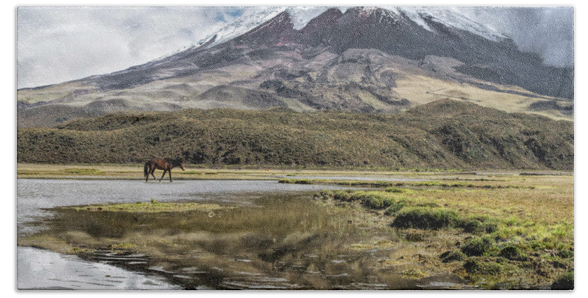 Andes Bath Towel featuring the photograph Cotopaxi Peak reflected in Limpiopungo lake by Henri Leduc