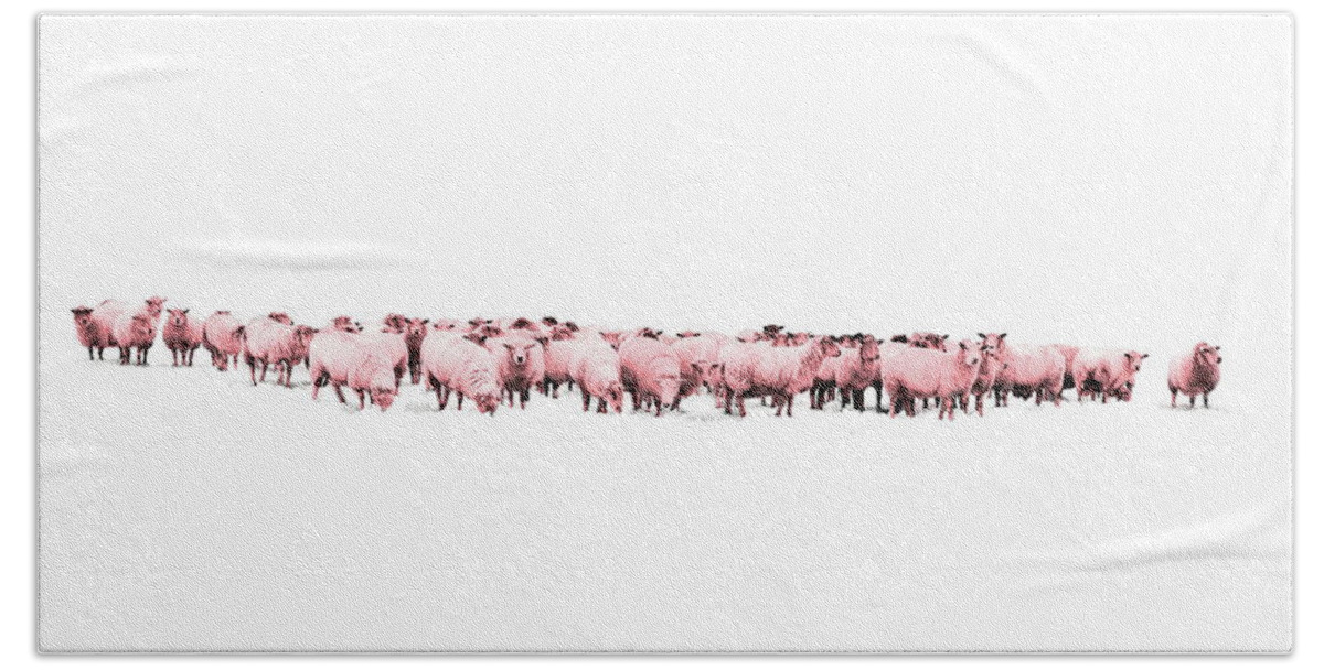 Sheep Bath Towel featuring the photograph Counting Pink Sheep for Girls Room by Andrea Kollo