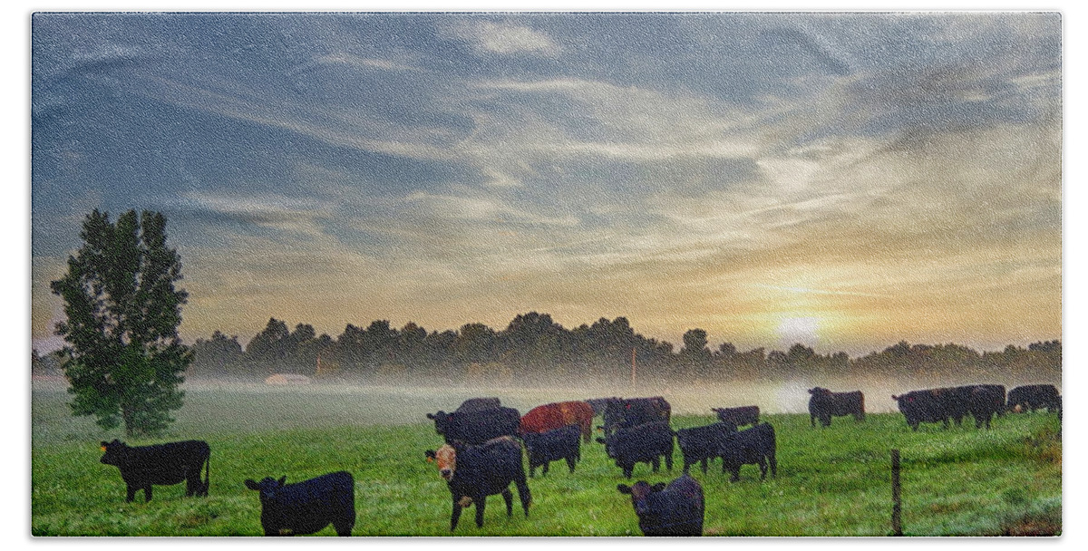 Cows Bath Towel featuring the photograph Cows in the Mist by Michael Frank