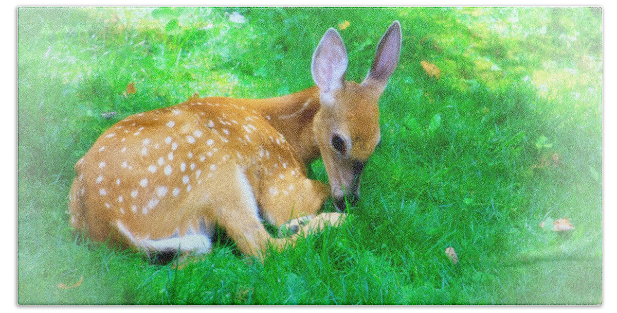 Nature Wildlife Fawn Hand Towel featuring the photograph Cozy Fawn by Mary Walchuck