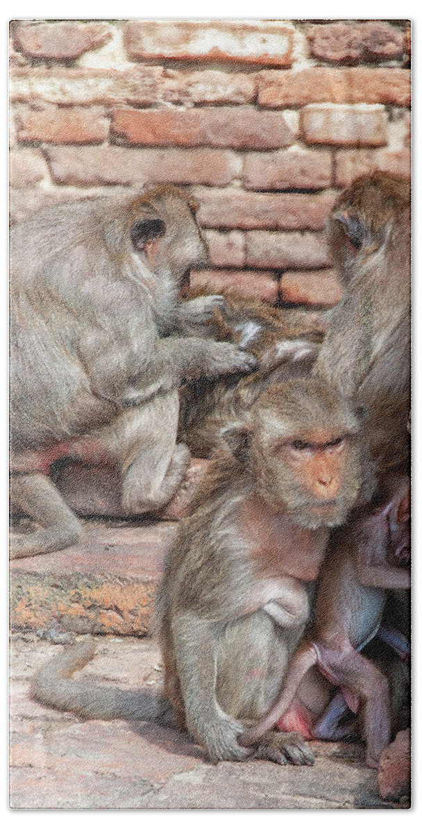Scenic Bath Towel featuring the photograph Crab-eating Macaques Mother and Infant DTHN0283 by Gerry Gantt