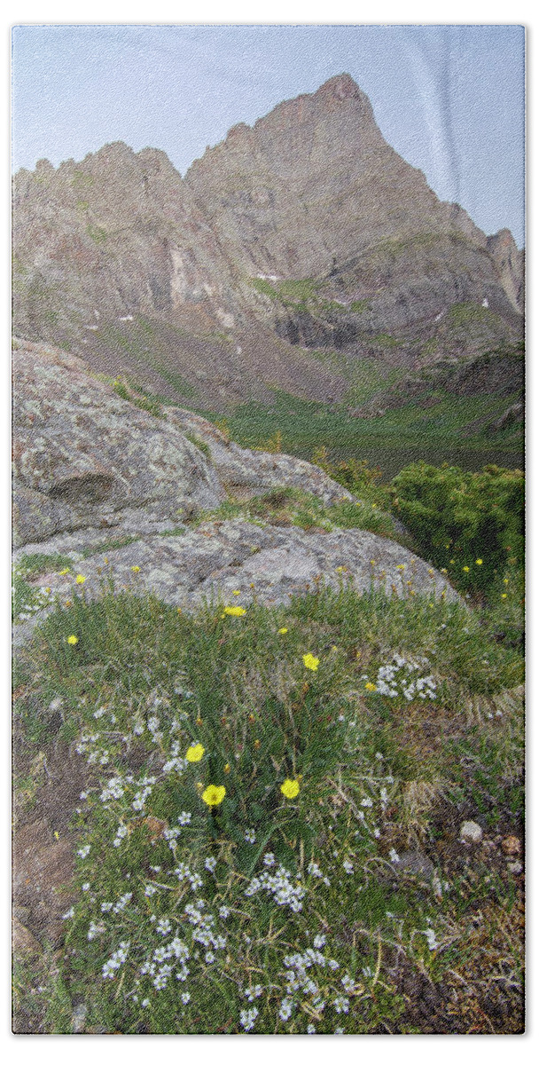 14ers Bath Towel featuring the photograph Crestone Needle Wildflowers by Aaron Spong