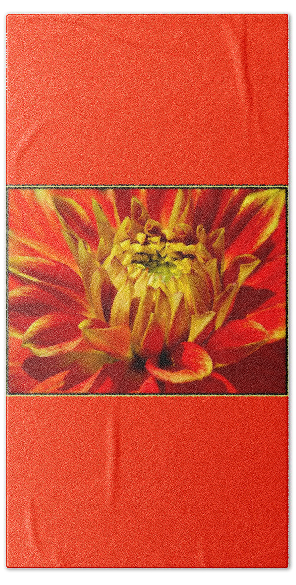 Flower Bath Towel featuring the photograph Crimson and Yellow Dahlia by Nancy Ayanna Wyatt