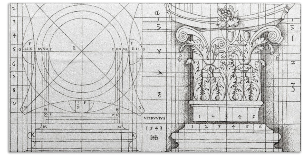 Blueprint Bath Towel featuring the drawing Cross section of Corinthian capital and proportional drawing by Hans Sebald Beham