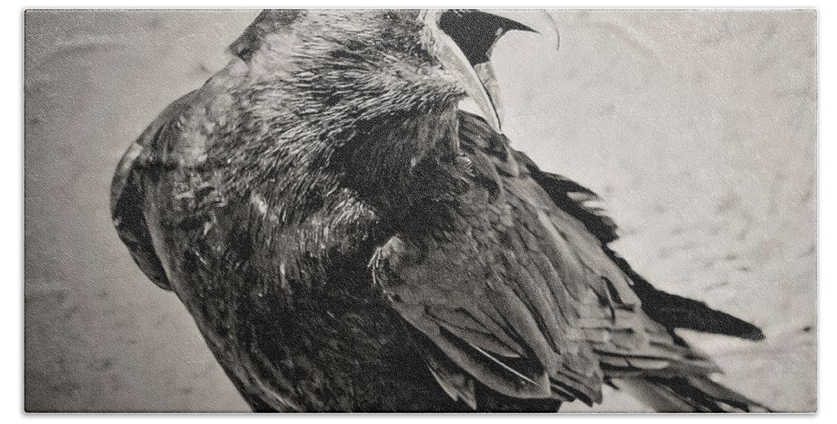 Crow Bird Black White Bath Towel featuring the photograph Crow by John Linnemeyer