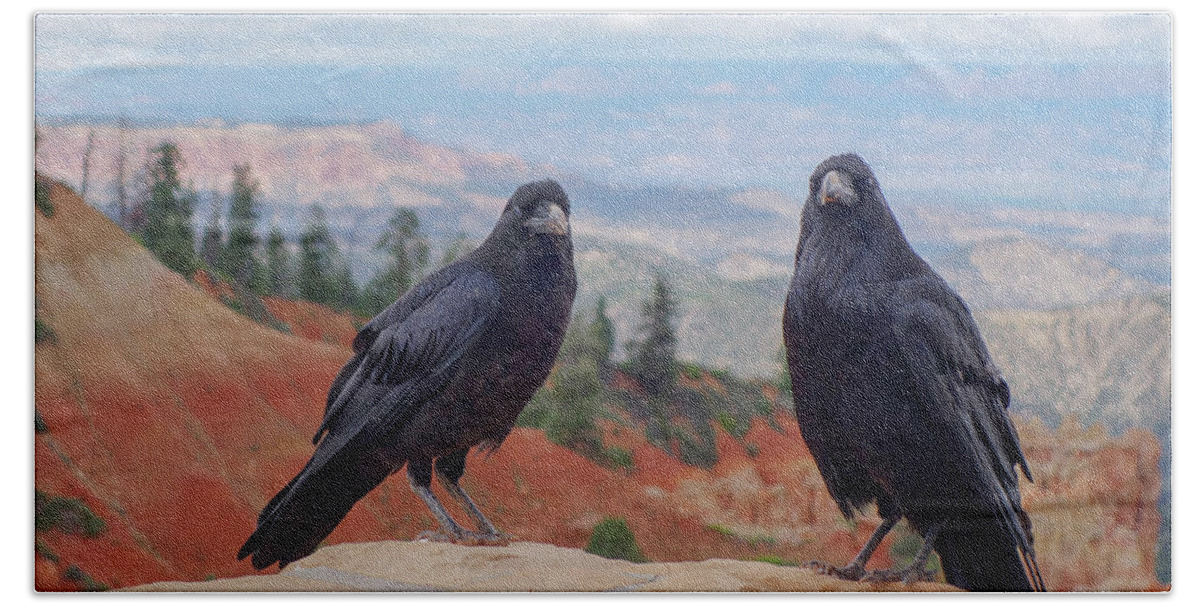 Animal Bath Towel featuring the photograph Crows at Black Birch Canyon in Bryce by John Twynam