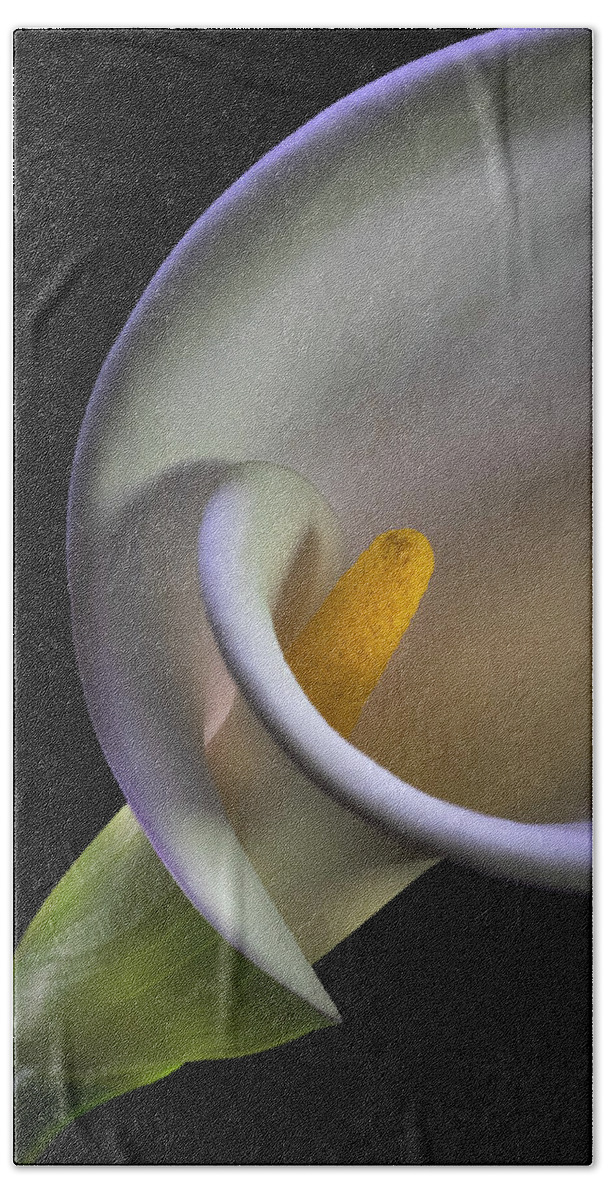 Curves Bath Towel featuring the photograph Curves Of A Calla Lily by Endre Balogh