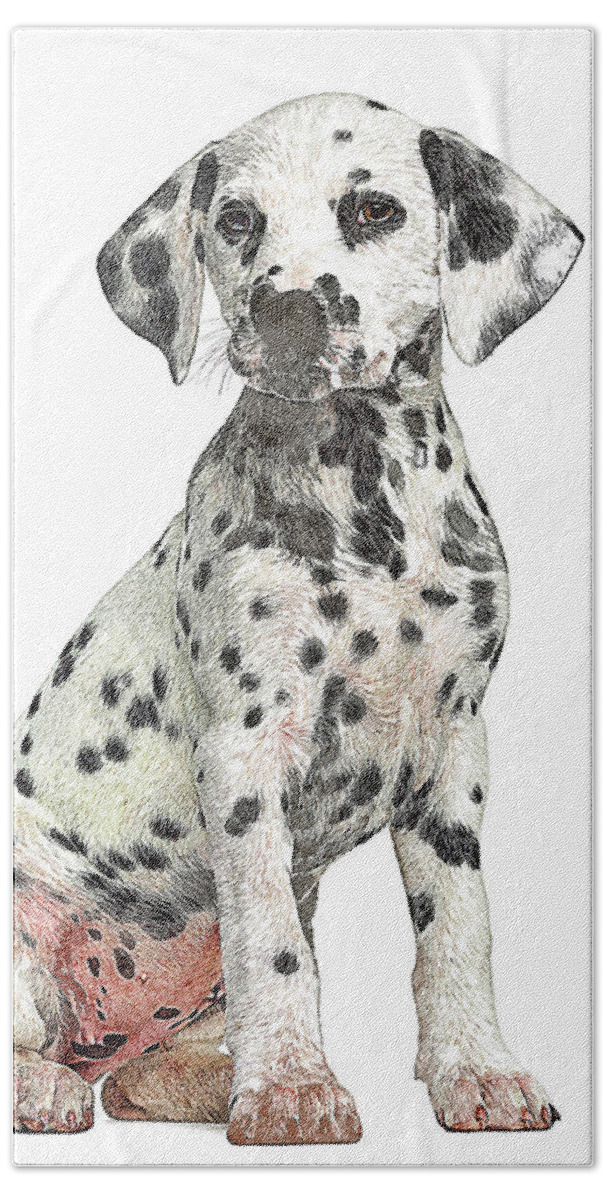 Dalmation Bath Towel featuring the painting Cute but Savage, Young Dalmation Dog by Custom Pet Portrait Art Studio