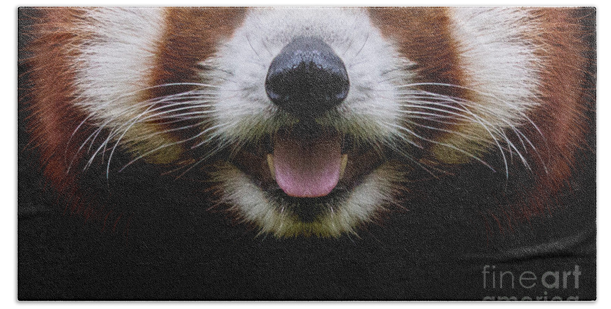 Red Panda Hand Towel featuring the digital art Cute Red Panda Face by Laura Ostrowski