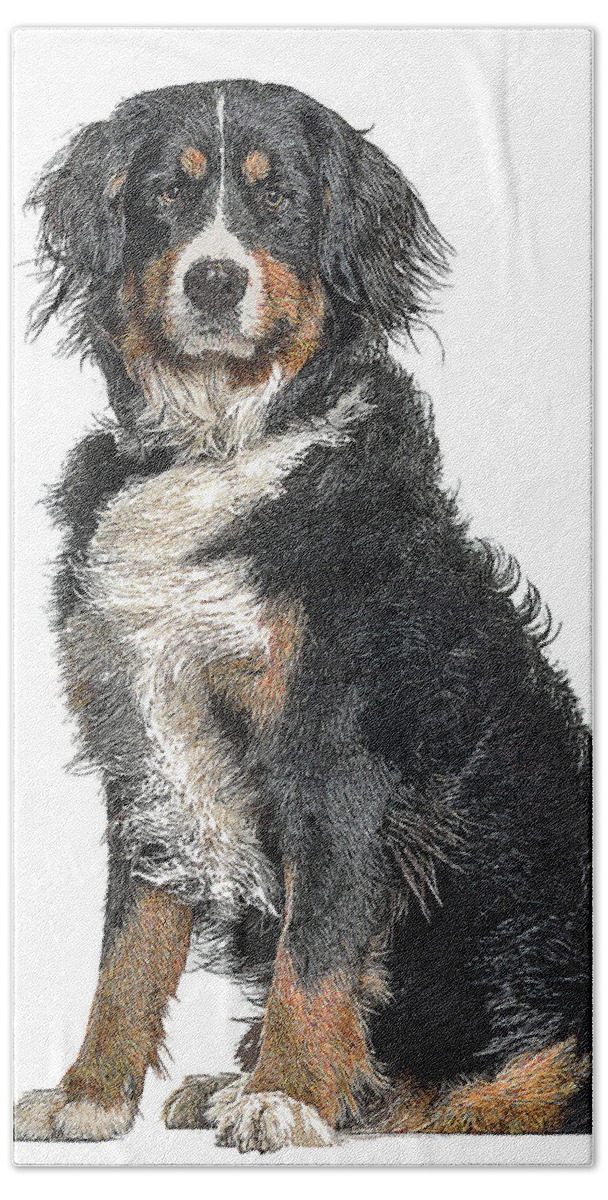 Bernese Mountain Bath Towel featuring the painting Cutest, Bernese Mountain Dog by Custom Pet Portrait Art Studio