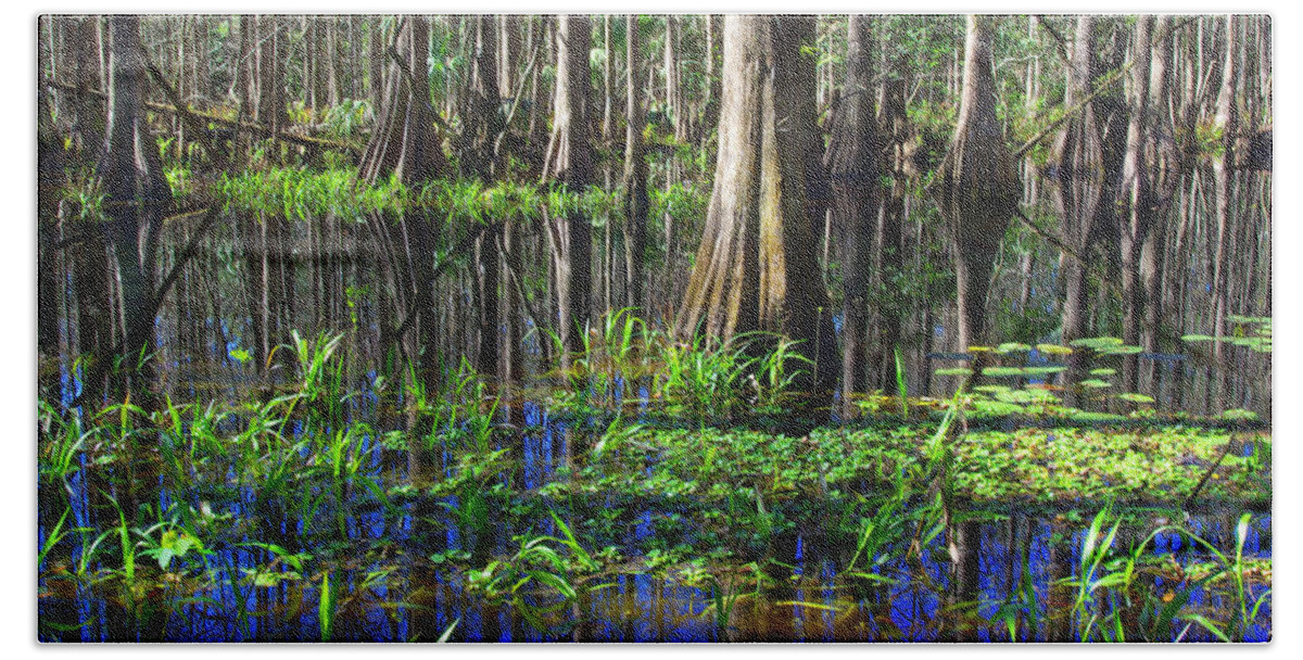 Swamp Hand Towel featuring the photograph Cypress Reflections - Cypress trees rise in the swamp waters of southern Florida by Kenneth Lane Smith