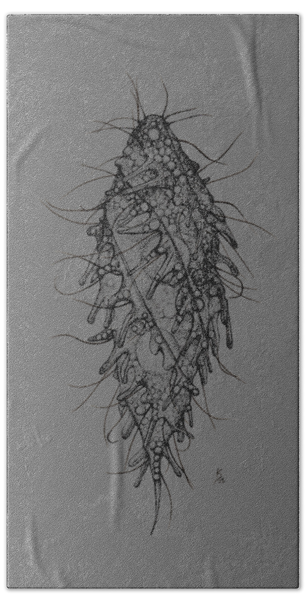 Ciliate Bath Towel featuring the drawing Dactylochlamys pisciformis by Katelyn Solbakk