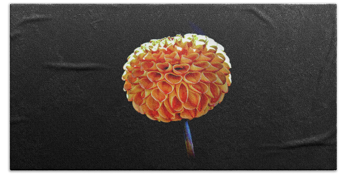 Flower Bath Towel featuring the photograph Dahlia by Anamar Pictures