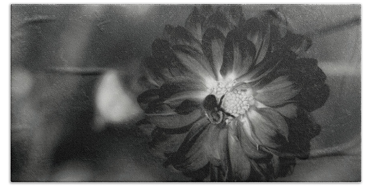 Photography Hand Towel featuring the photograph Dahlia And Bee by Irene Moriarty