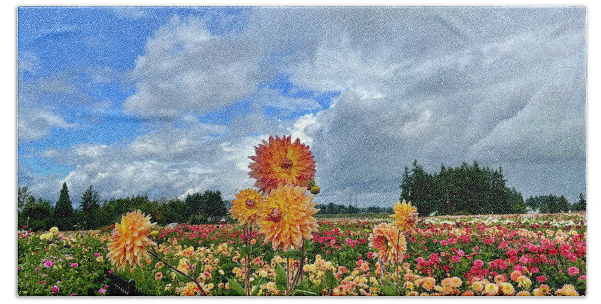 Dahlia Hand Towel featuring the photograph Dahlias In The Sky by Brian Eberly