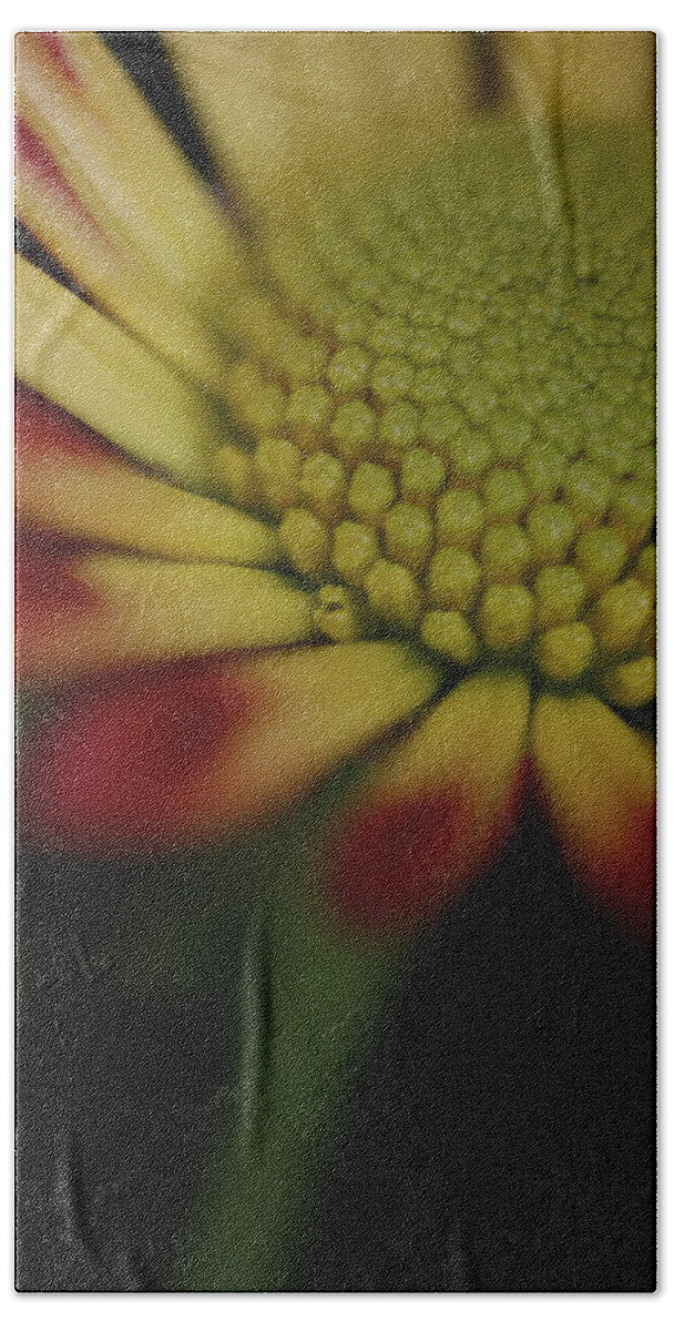 Macro Hand Towel featuring the photograph Daisy 6016 by Julie Powell