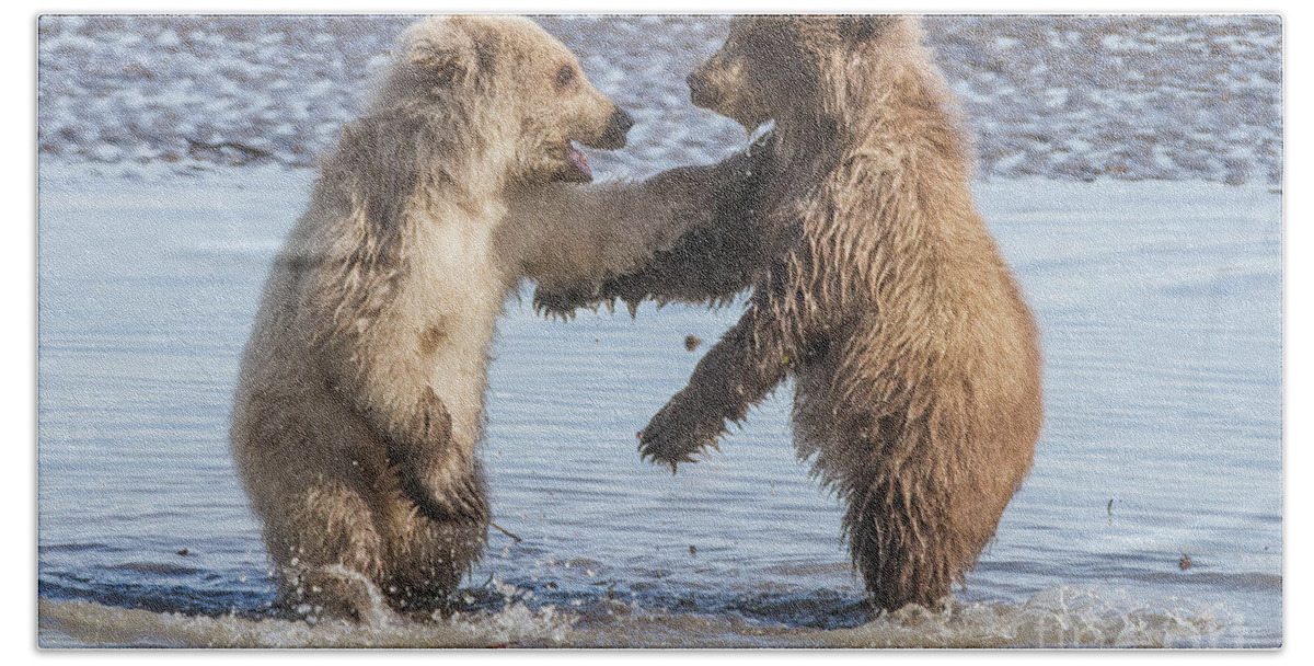 Bear Bath Towel featuring the photograph Dancing Bears by Chris Scroggins