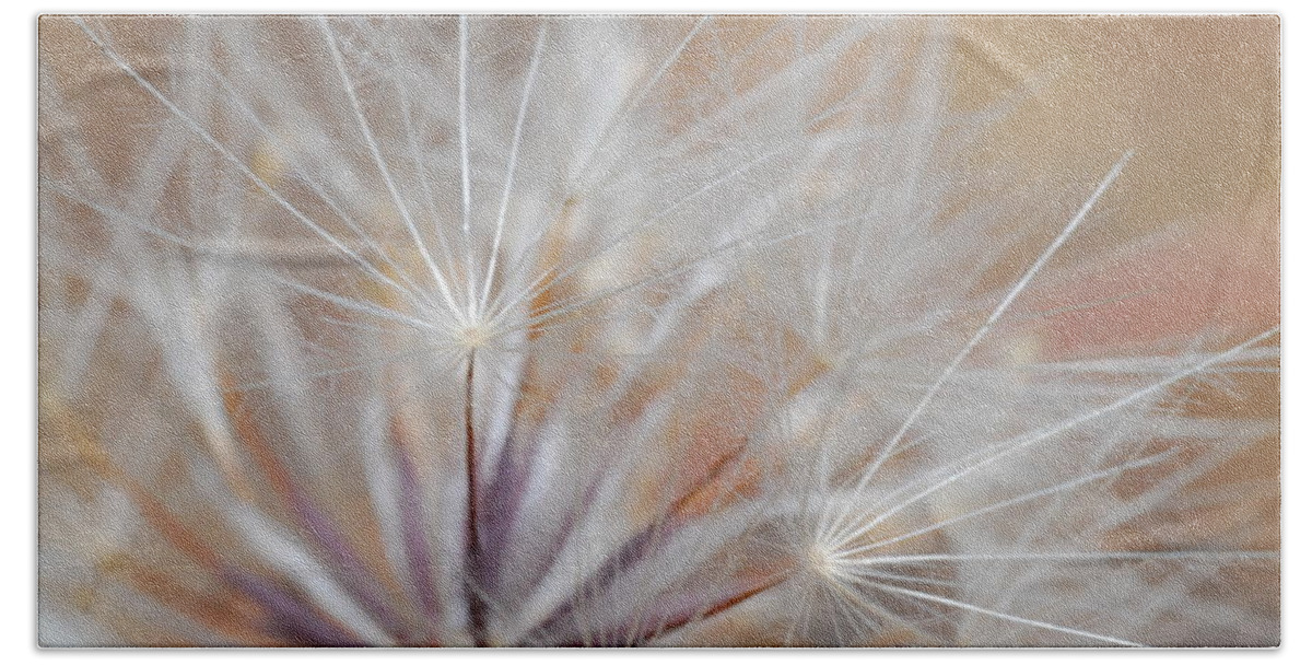 Nature Bath Towel featuring the photograph Dandelion 3 by Amy Fose