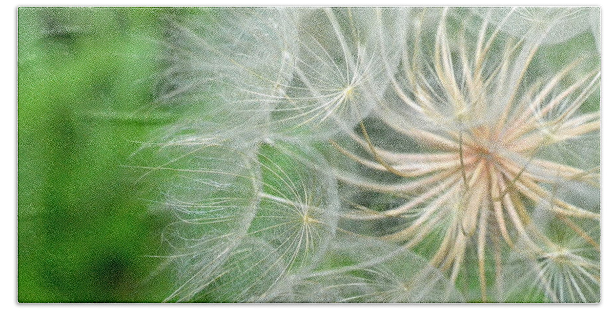 Nature Bath Towel featuring the photograph Dandelion 5 by Amy Fose