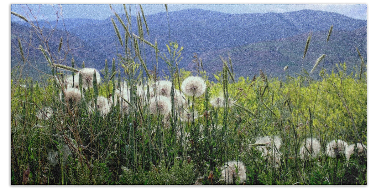 Dandelion Bath Towel featuring the photograph Dandelions and Mountains by Kathryn Alexander MA