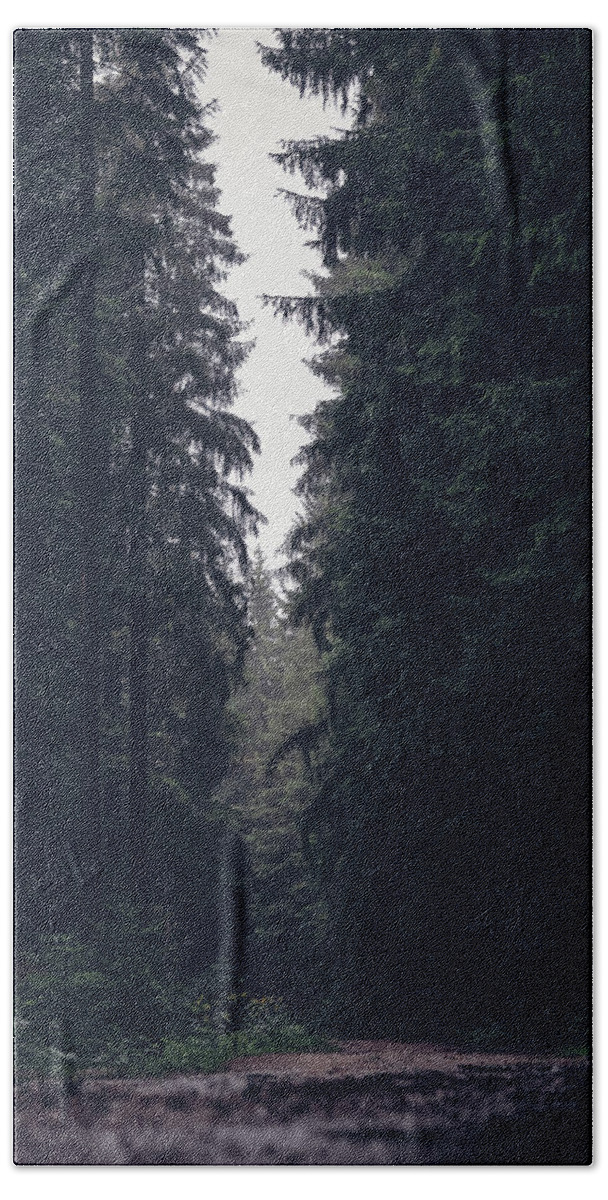 Forest Bath Towel featuring the photograph Dark atmosphere in forest. Forgotten road in rainy day by Vaclav Sonnek