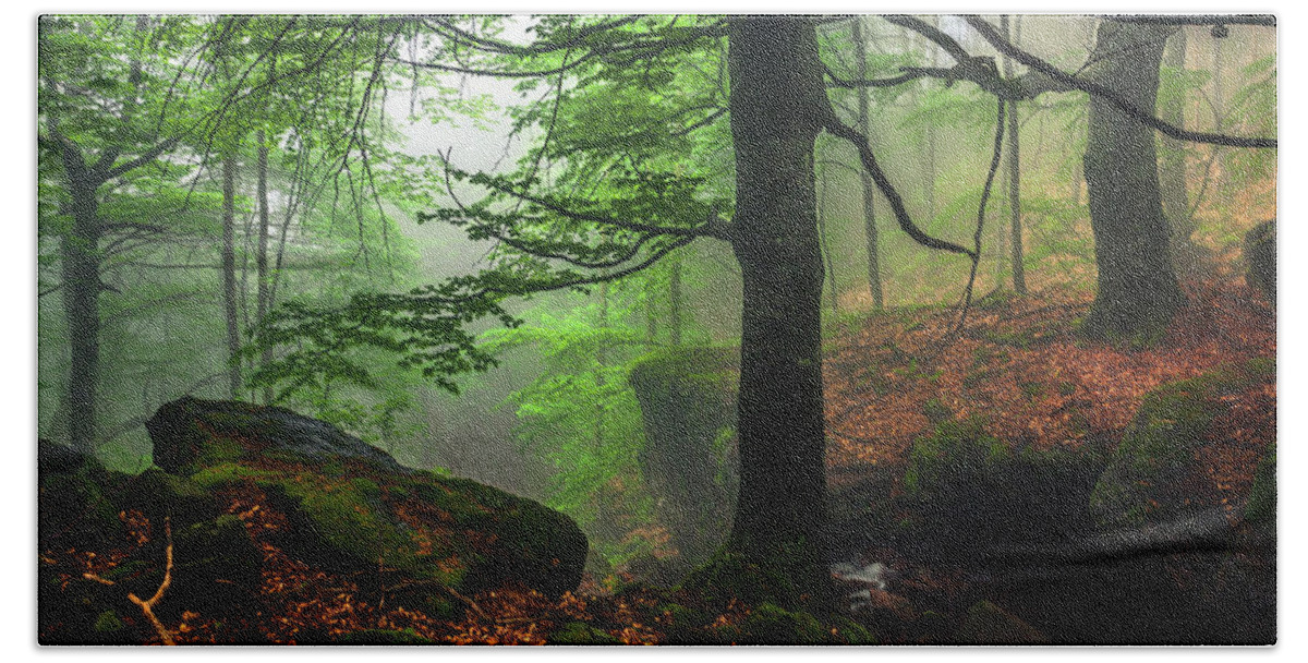 Fog Bath Towel featuring the photograph Dark Forest by Evgeni Dinev