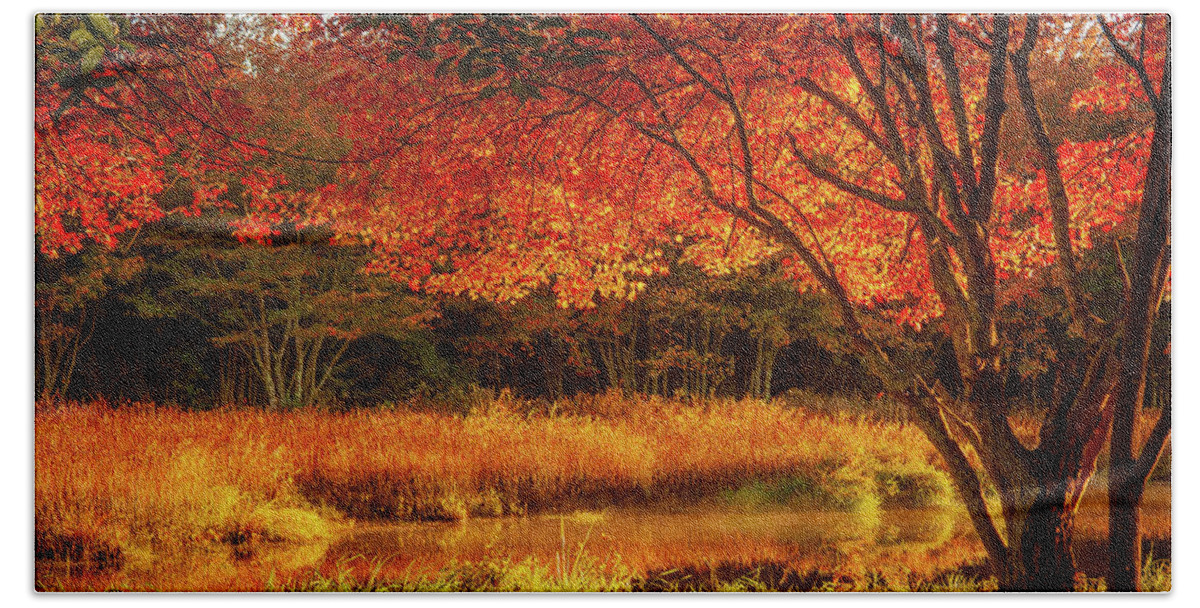 Rhode Island Fall Foliage Bath Towel featuring the photograph Dawn lighting Rhode Island fall colors by Jeff Folger