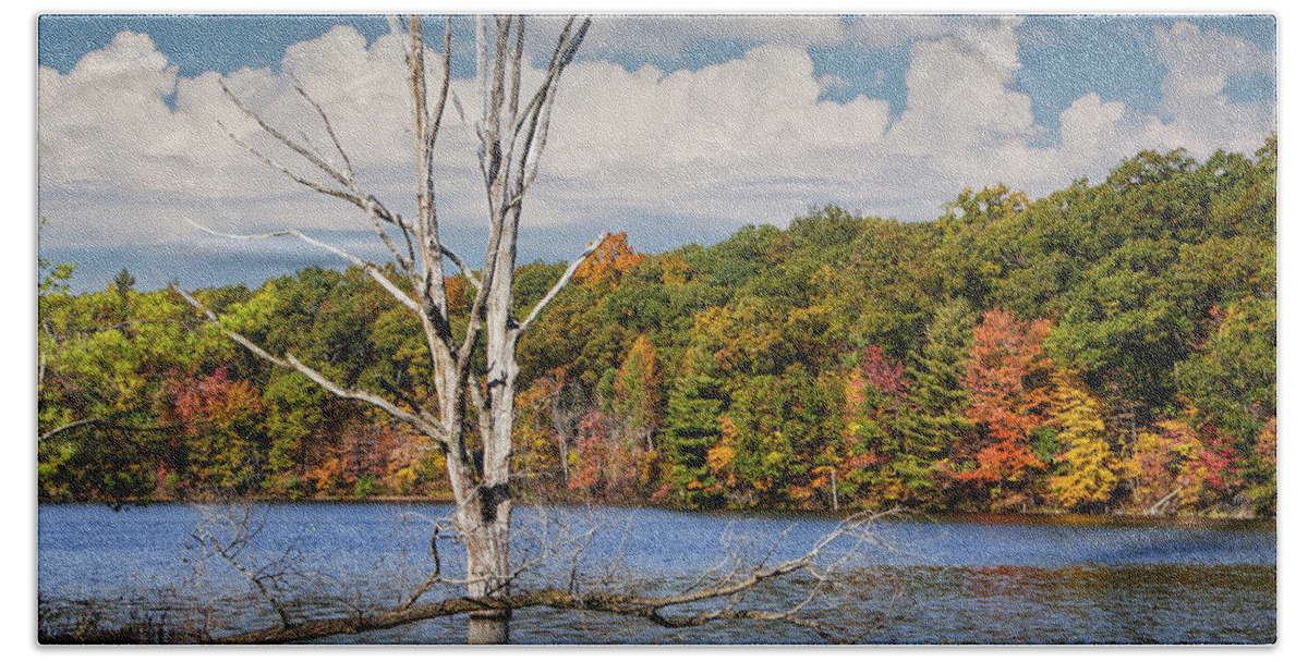 Beautiful Bath Towel featuring the photograph Dead Tree Stickup on Hall Lake by Randall Nyhof