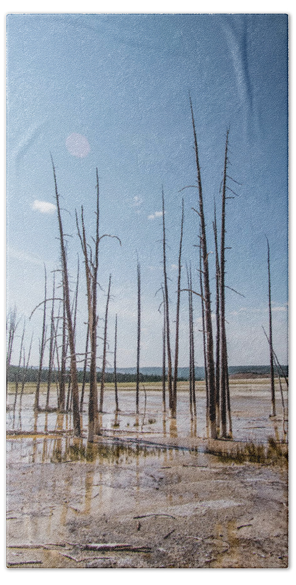 Yellowstone Bath Towel featuring the photograph Dead trees in Yellowstone by Alberto Zanoni