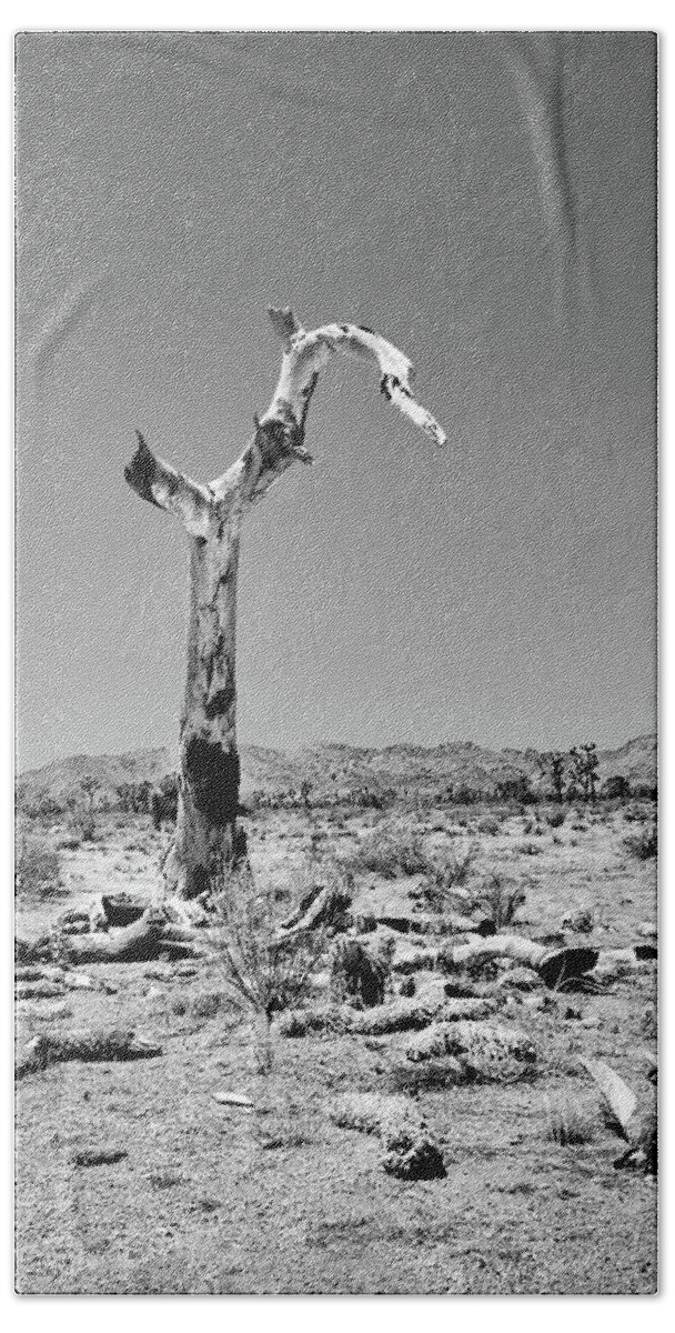 Joshua Tree Hand Towel featuring the photograph Death of a Joshua Tree by American Landscapes