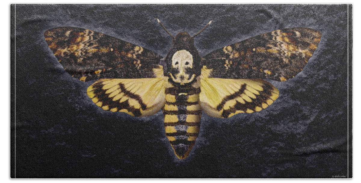 Death's-head Hawkmoth Bath Towel featuring the photograph Deaths Head Hawk Moth Framed Version by Weston Westmoreland