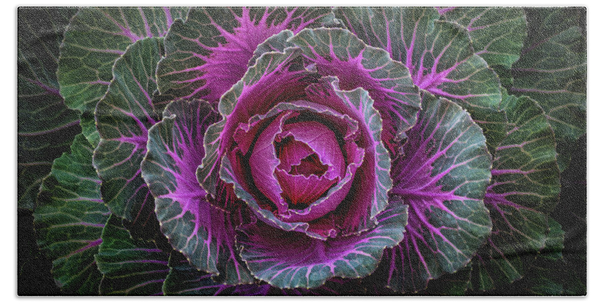 Ornamental Hand Towel featuring the photograph Decorative Cabbage by Elvira Peretsman