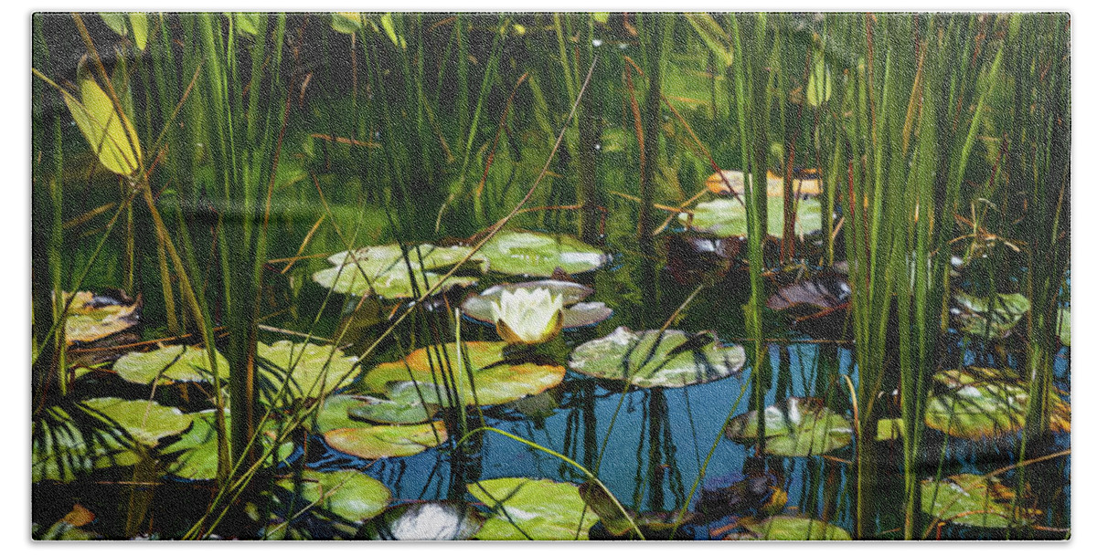 Water Lily Bath Towel featuring the photograph Deep in the Lily Pond by Bonnie Follett