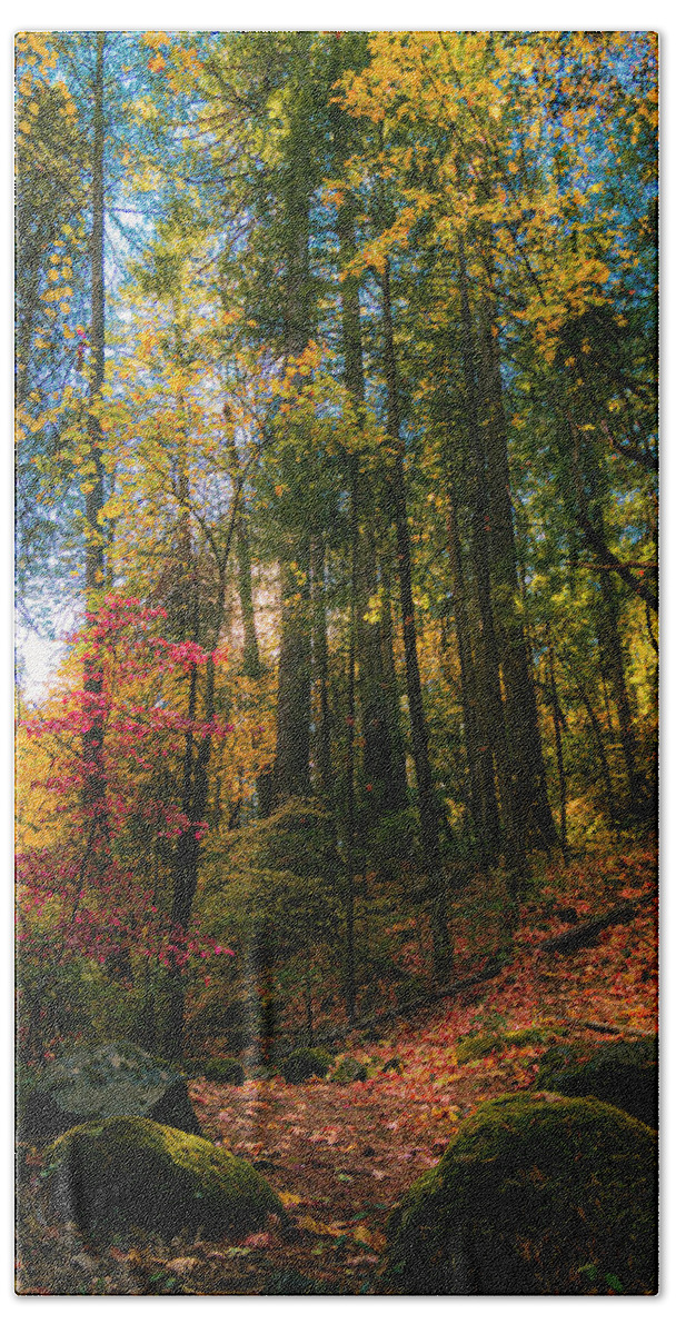 Tpeak Photos Hand Towel featuring the photograph Deer Creek Trail Autumn Splendor by Mike Lee