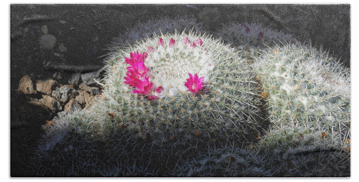 Desert Bath Towel featuring the photograph Desert Cactus Flowers by Russel Considine
