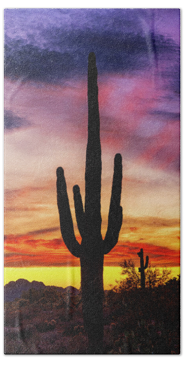Arizona Bath Towel featuring the photograph Desert Musings by Rick Furmanek