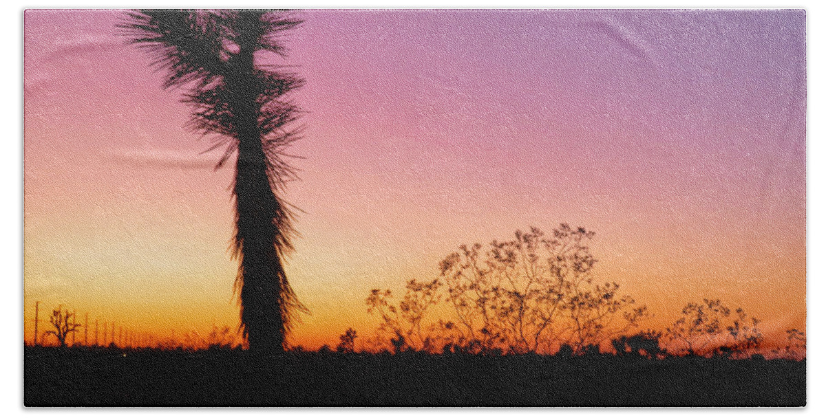 Desert Bath Towel featuring the photograph Desert Sunset by David Zumsteg